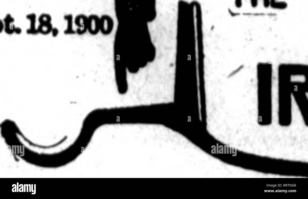 . Fioristi' review [microformati]. Floricoltura. 88 i fioristi^ Review OcTOBHn 16, 1913. Per KXCHANOK. T(yExcbanKe-cumulo di neve stevla, pronto per 8 o 10-ln. pentole, t'Ac; piselli dolci, grandi vigne, da 2V6-LN. pentole, Zvolanek e Boddlngton di Cristo- mas bianco, rosa, lavanda, 3c; bocche di leone, rosa, bianco e rosso, campo coltivati, Gc; BonnatFon, Rosa Shaw e Diana stock piante, Z^c; Smith di anticipo, 10c, per gerani, Ott. Frost. Bagliore dorato, vlnca vigne, verde o variegato; fuchsias, piante di gomma, aspidistras, Lorena o la gloria di Cincinnati begonia, Swainsonas, doppi sweet alyssum o chiamata Godfrey Foto Stock