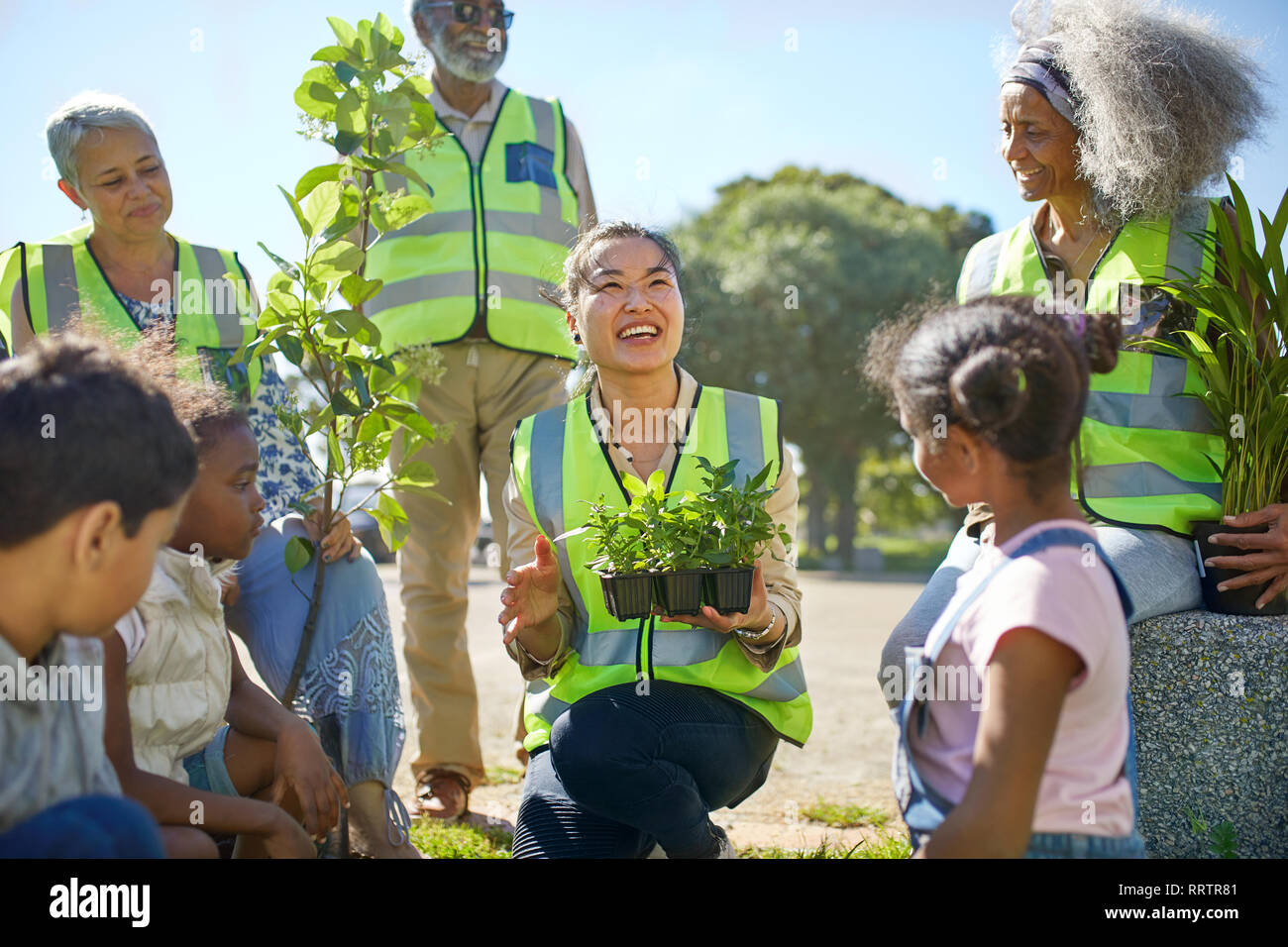 Volontari felice piantando alberi e piante nel soleggiato parco Foto Stock