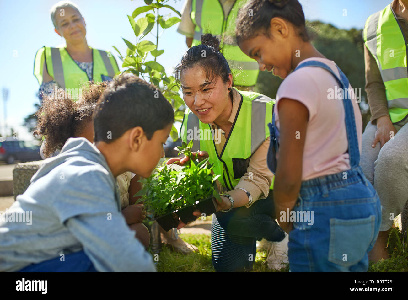 Donna e bambini volontari piantando erbe nel soleggiato parco Foto Stock