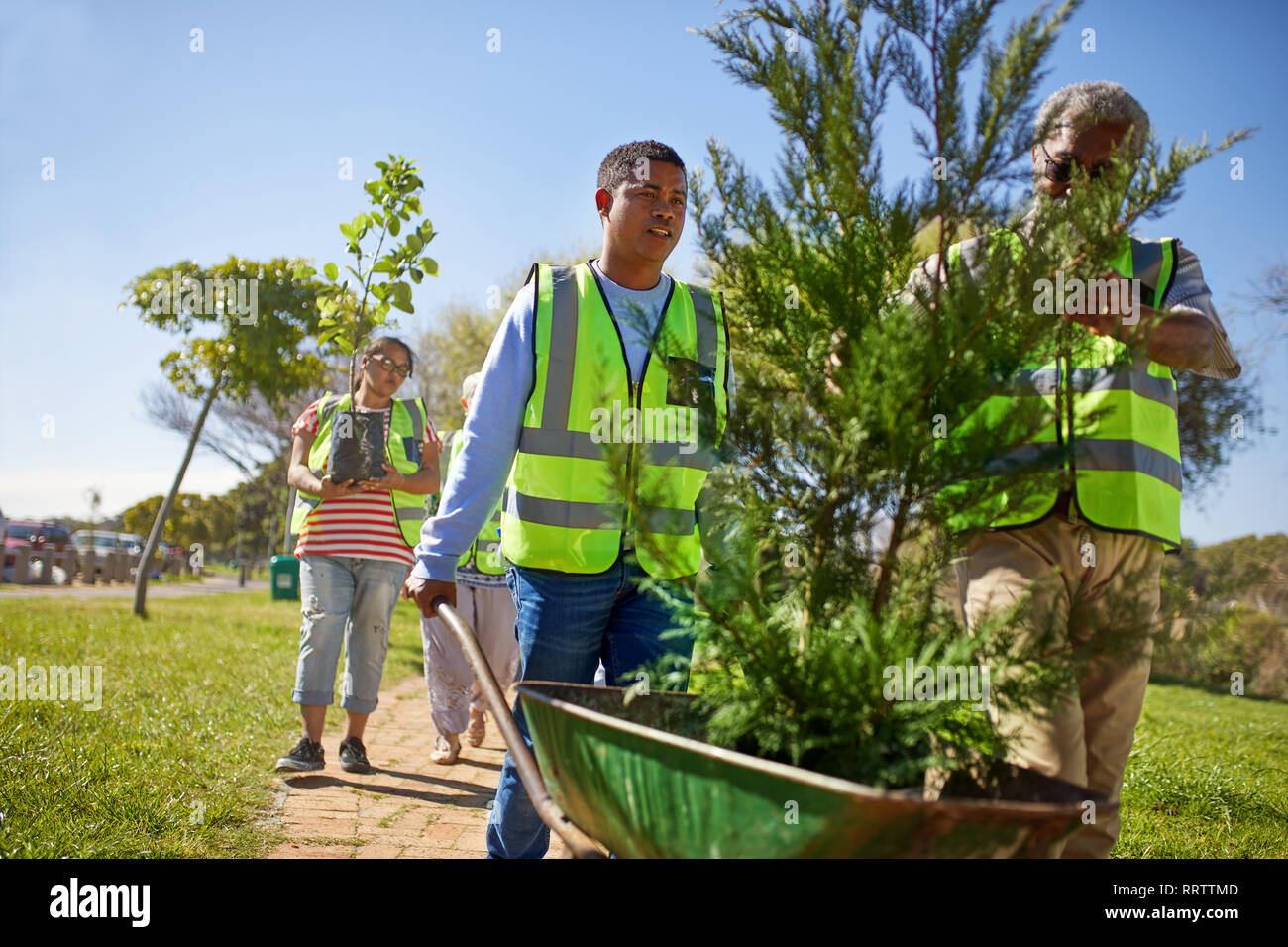 I volontari a piantare alberi nel soleggiato parco Foto Stock