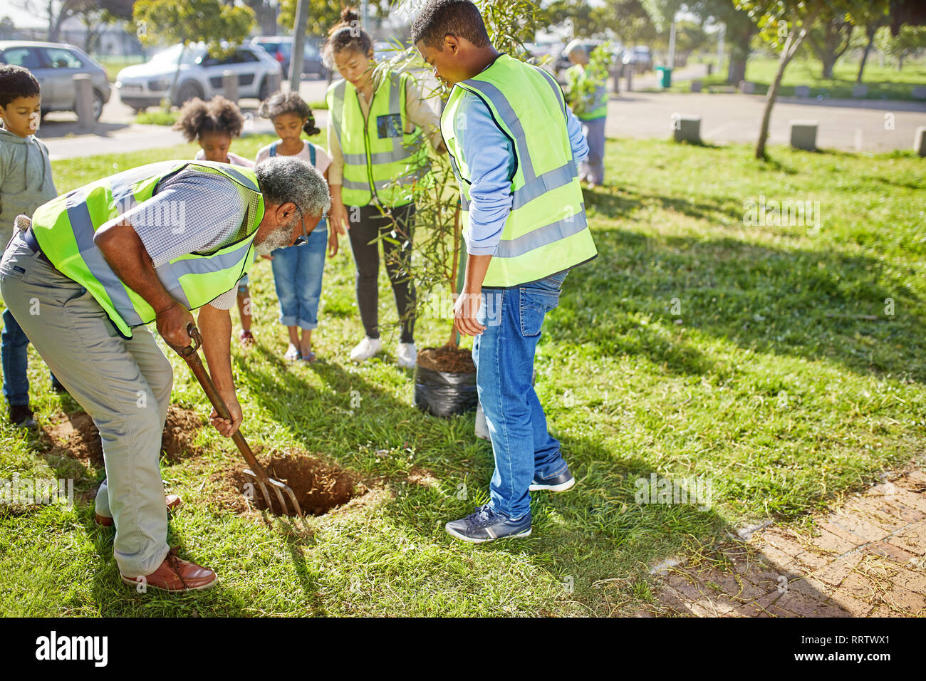 I volontari a piantare alberi nel soleggiato parco Foto Stock