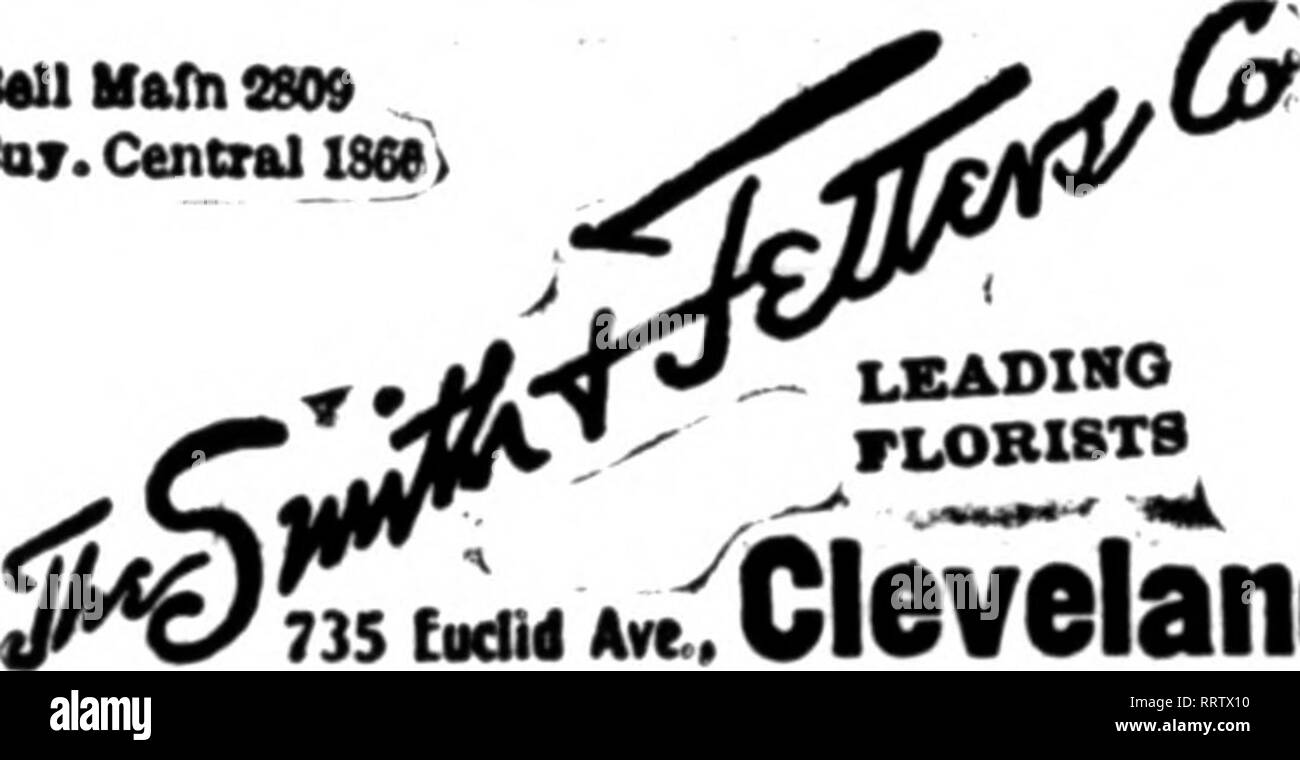 . Fioristi' review [microformati]. Floricoltura. 42 | base. Se yon desidera essere rappresentato sotto questa voce, ora è il momento di mettere il vostro ordine. DARDS, N. E. Cor. 44Th Street e Madison Avenue, New York telefoni * 4086-4086 88th Street, gli ordini consegnati su tutte le navi oceaniche o telegraphed ai nostri corrispondenti in Europa e le colonie britanniche. Oable Oardsflor, Western Union Stati Floriste' Consegna del Telegrafo, KatahUehed 1074 ClEmANI J. H. GASSER CONrANT Euclid Avenue coltiviamo il meglio di tutto ciò che li^ FIORI RECISI. niANK J. 8CH0EN FBANK A. rUSDLX? Il James Eadie Co, DI CLEVELAND HO Foto Stock