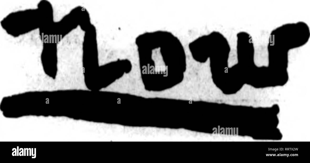 . Fioristi' review [microformati]. Floricoltura. I fioristi^ Rassegna Settembre 18. 1013. suo non desiderato, una cortina di mussola, che potrebbe essere redatto per il tetto durante il giorno, sarebbe utile. Per fissare le temperature uomini- ziona, eseguire un 2^ pollici principali sotto il crinale e riportare quattro 2 pollici re- diventa il centro della casa; ci aumentare il numero a otto restituisce. Questo numero di restituisce sarebbe necessaria per fissare le temperature indicato quando la temperatura esterna è bassa come 20 gradi sopra lo zero. Quando la temperatura esterna è di 30 gradi al di sopra di . zero, sarebbe possibile mainta Foto Stock