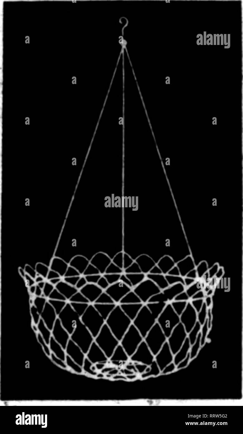 . Fioristi' review [microformati]. Floricoltura. 8 pollici.$1.50 al doz. 10-lnch.$l.76 per doz. 9 pollici. 1.60 per doz. 12-iDch. 2.50 per doz. 14 pollici ... .$3.60 per doz. Imrser speciali misure di ordine foglio verde muschio per rivestimento Hanrine cestelli per balla (6 bundle) |i.25 5 balle (26 fasci) 6.00 Anche altri fioristi' fornisce. Scrivere per elenco GEO. H. ANGERNUELLEI. Wktleiale Fliriit 1524 Pine Street. ST. LOUIS, MO. Menzionare il riesame quando si' scrivere. Philadelphia, Pa.-un permesso è stato concesso James S. Griffin per l'EREC- zione di una serra, 40x200, su Frank- ford avenue, a un &LT;eo"t j)f $2.500. Foto Stock