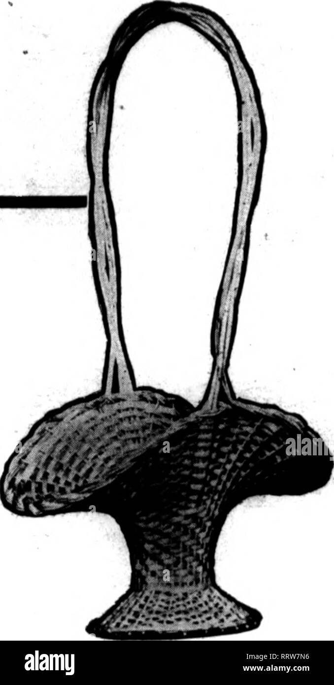 . Fioristi' review [microformati]. Floricoltura. Agosto 14, 1913. I fioristi^ Rassegna 27 RAEDLEIN Canestri mi ha la reputazione di cestelli Raedleln è uno che viene riconosciuto come meglio da costa a costa. Esso ha preso negli anni a costruire questa reputazione ed è fondato sulla competenza, capacità artistiche e forethougfht di una famiglia che ha fabbricato cestelli per gener- zioni. Le fabbriche del cestello Raedleln Co. in Germania sono un' Istituzione che impiega solo i più abili operai.. 9:. Si prega di notare che queste immagini vengono estratte dalla pagina sottoposta a scansione di immagini che possono essere state migliorate digitalmente per Foto Stock