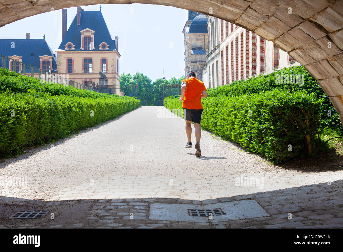 Un uomo che corre lungo un vicolo del parco. Vista posteriore. Fontainebleau, Francia Foto Stock