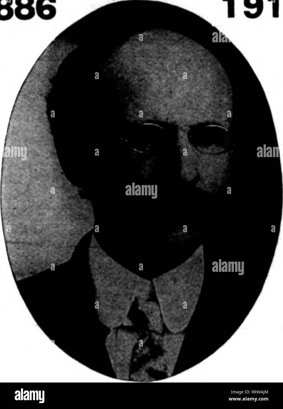 . Fioristi' review [microformati]. Floricoltura. Agosto 20, 1914. I fioristi' Riesaminare 61 Felci Galax Moss 'itfl"w PMwy P"rns PerlOO"-; $1.26 un sacco di MW o più, per 1000 I.OO QfMm L"ucotho" spray per 100 10.60 Per 1000 |4.M Spray di legno di bosso* Ptrlk |0,ao per caso, 60 Ibi.. $7.50 BRONZO FOGLIE GALAX Per 1000 11.00 Percaaeof 10.000 7.60 Verde foglie di GALAX Per 1000 11.00 al caso di 10.000 V.60 Sphagnum Moss per balla tl.00 6 balle per balla, 10 90 10 partite della balla o più, per balla 85 Qroon Shoot Moss Ferbimdle fl.00 Sbnndles 14.71 lObimdlei 9.00 25bandles 21.00 ?PBCXAL rRICn OH LABOK qUAHTXTIKB. Bronie, Foto Stock