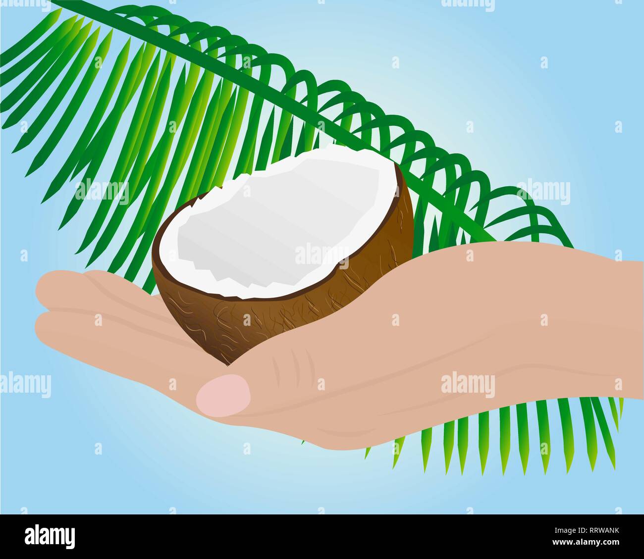 Noce di cocco in una mano e di una foglia di palma illustrazione vettoriale Illustrazione Vettoriale