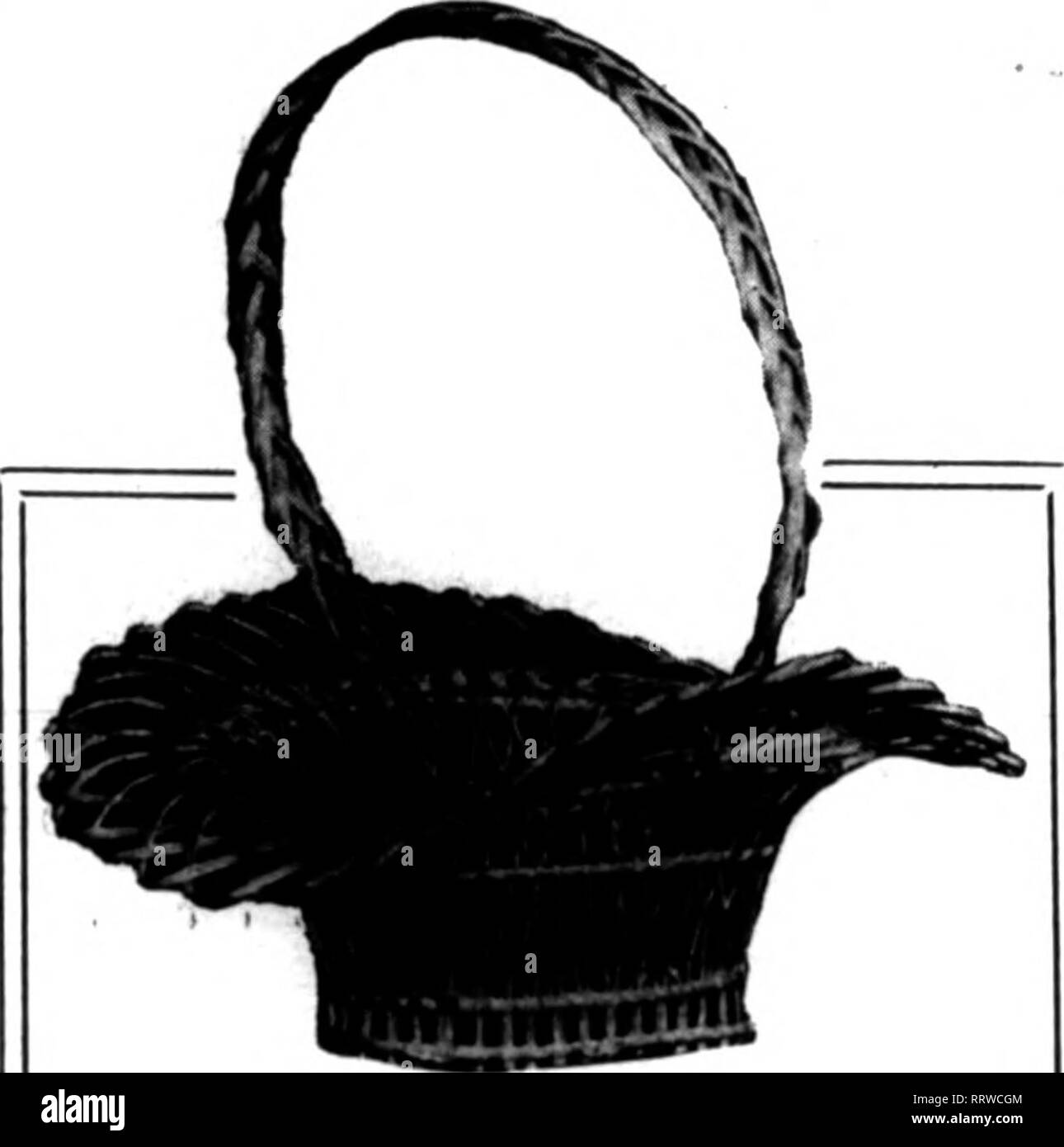 . Fioristi' review [microformati]. Floricoltura. 26 i fioristi^ revisione 24 aprile 1913. 3: Un'abbondanza stock KILLARNEYS : SPAGNOLO IRIS : piselli dolci la fornitura è in aumento, e non possiamo non ricordare i tempi in cui la media di qualità migliore. Voglia di bocca di leone valle garofani il nostro magazzino è completa in ogni fiore seasonable, e in verde i nostri prezzi saranno di vostro interesse. Il nostro obiettivo è di accontentare tutti. A. L. VAUGHAN &AMP; CO. (Non INC.) 161 N" Wabash Avenue, Phoaes:-Ceatral 2571-2572. 48734 automatico. CHICAGO menzionare il riesame quando yon scrivere. quando egli è stato colpito alla testa da un mattone mentre si cammina per essere Foto Stock