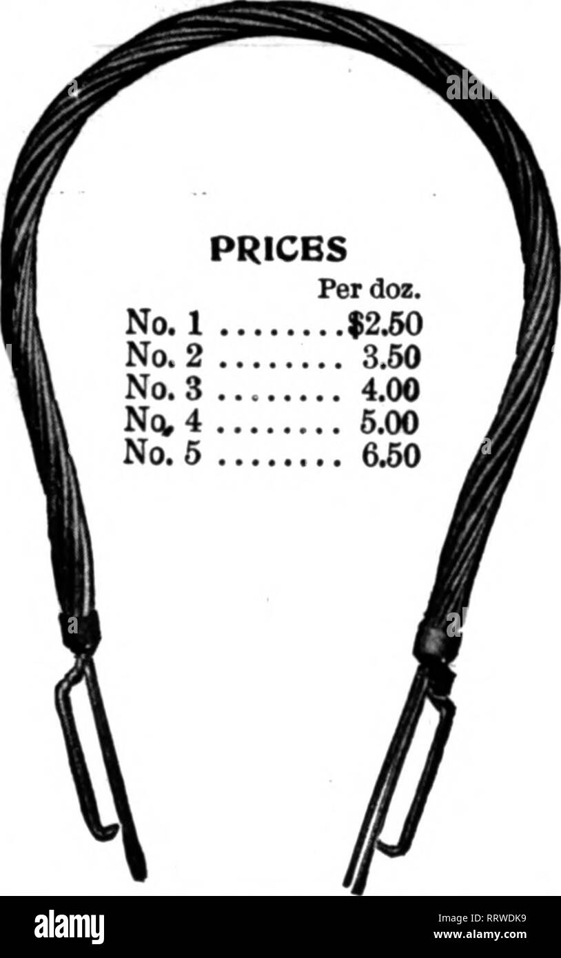 . Fioristi' review [microformati]. Floricoltura. Atto di citazione* per Wlr" lavoro Pric elenco*. Il tiglio mad* daslsns a bassa pricos. Michigan fiori recisi Exchange, 38 40 Broadway, Detroit, Michigan. Menzionare il riesame quando yon scrivere. Huckleberry dirama un Ordere Faied prontamente. CHAS. S. LEE &AMP; CO., Evergreen, Ala. S2.00 per 50-pound casi citano il riesame quando scrivi. 6REEN foglio muschio verde lungo i fogli per hanslng cesti. Per fascio di $1 00 5 fasci $ 4,75 10 pacchetto! 9.00 25 fasci 21.00 Persack 1.00 10 sacchi 9.00 Prezzi sui quantitativi lartrer quotati su applicazione C. K. CRITCHCLL. Commercio all'ingrosso Commissione Fioraio Foto Stock
