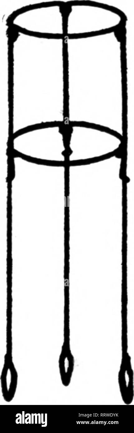 . Fioristi' review [microformati]. Floricoltura. 100 fioristi^ Review GCTOBBB 16, 1913. ^-(6-(b-ij auto-legato picchetti di rose. "L'ANSA! Il loop è la cosa!"' atto di citazione* per il Listino prezzi A. Il supporto di garofano CO. I costruttori di auto-legatura supporti di garofano e Rose Stakes [PATKNTKD] CONNERSVILLE, IND menzionare il BeTlew quando yon scrivere. MINNEAPOLIS, DCIM. Il fiore dipartimento di L. S. Don- aldson del grande magazzino, in carica di "- iam D. Desmond, è molto diverso dal supporto che porta il nome del dipartimento di fiori nella maggior parte dei negozi del genere. Diciotto grandi serre di alimentazione Foto Stock