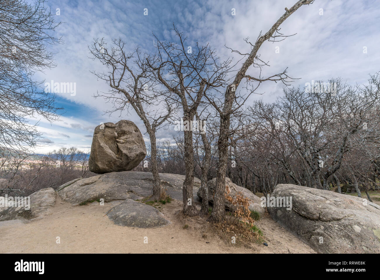 Celtic Vetton luogo sacro (Nemeton), grande masso di granito roccia circondato da alberi a Silla de Felipe II (Filippo II sedia) in montagna Guadarrama Foto Stock