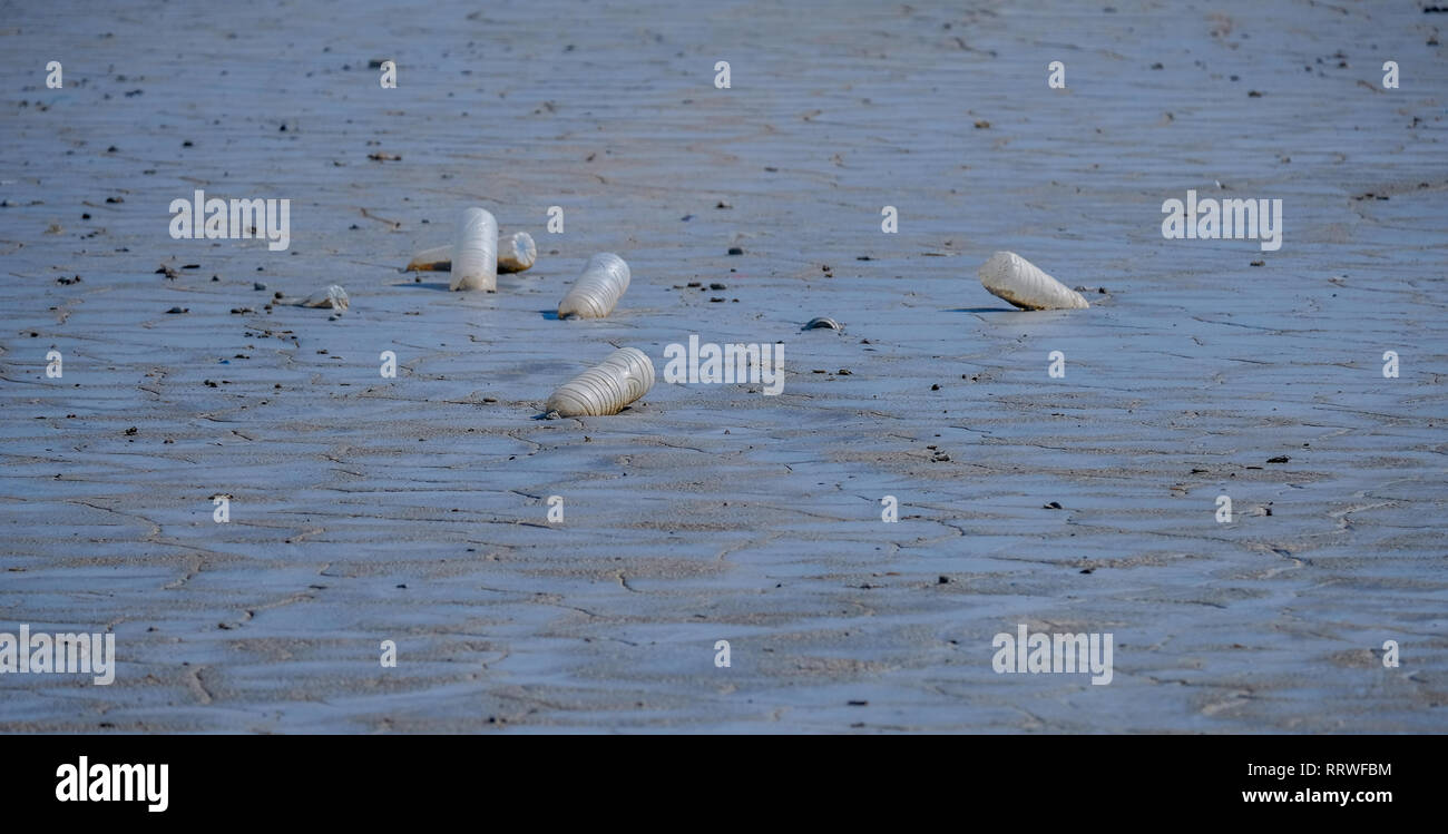 Le bottiglie di plastica vuote lasciati dai turisti su una spiaggia, plastica inquinamento e siccità (riscaldamento globale) concetto Foto Stock