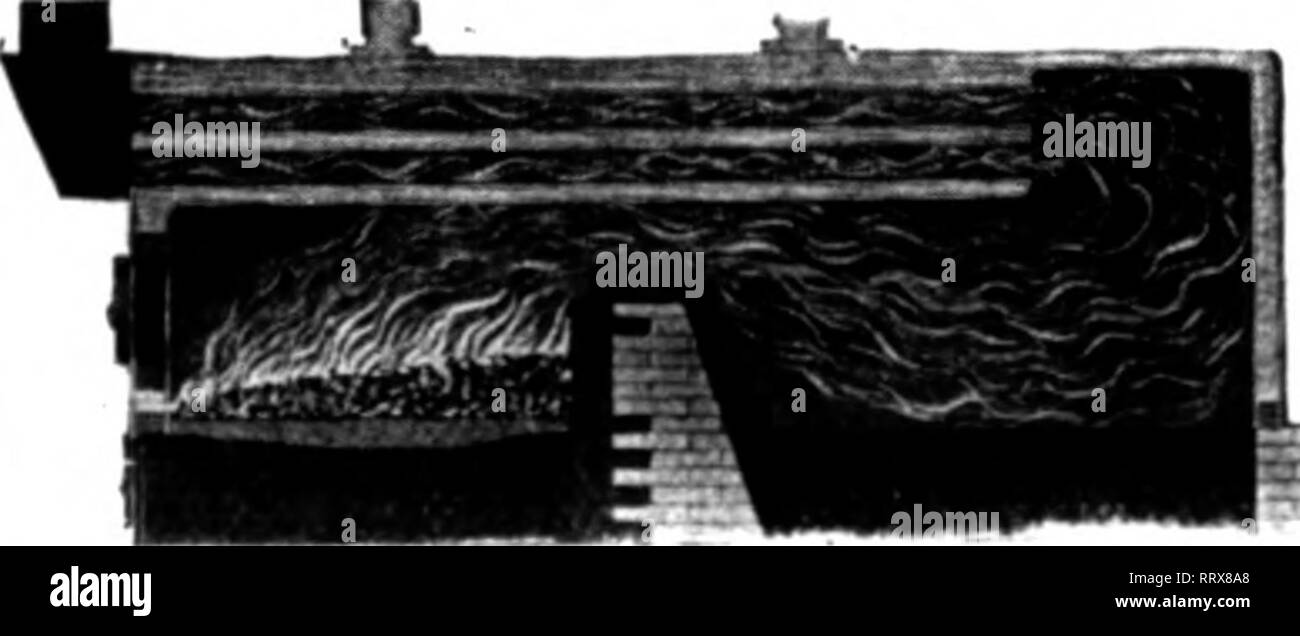 . Fioristi' review [microformati]. Floricoltura. Ciclone filtro del tubo è particolarmente adatto per il basso le caldaie della shell. Il nostro i raccordi del tubo flessibile sono ineguagliabile. Atto di citazione* per Pric**. Can b* sant tramite pacco postale. GOODfElLOWMrCCO. Raschiatore perfetto 'Slz"l.-lX-III. 6. La combinazione del diametro ciclone Qlratfe caldaia soffiante di canna fumaria M&LT;"ntlon Il Rerlew quando yon wrltp 36 Ferfuson St, Buffalo, N. Y. KROESCHELL CALDAIA. Fatta di scatola di fuoco la piastra della flangia non può incrinarsi acqua spazio nella parte anteriore, lati e parte posteriore il più popolare caldaia realizzata per invio catalogo Kroeschell Bros. Co. 444 W. Erie Street, Chicago menzionare il riesame Foto Stock