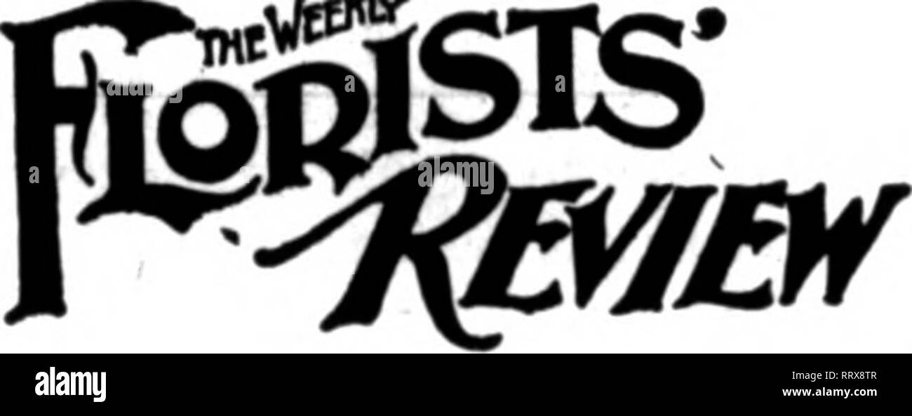 . Fioristi' review [microformati]. Floricoltura. tjfr .r&GT;V'M { - wmmyi Berlino, Iilass.-Henry D. Pratt ha affittato le serre di Samuel Wheeler e continuerà l'attività. Holyoke, messa.-Amelia S. Fraleigh afferma di aver venduto tutto in magazzino per Natale e pensa che ogni fiorista in città ha avuto un buon commercio. Guthrie, Okla.-^John solco è stato un membro del Comitato delle tre ap- ha sottolineato dalla Guthrie Camera di Commercio di nominare i direttori dell'organizzazione per il prossimo anno. Varsavia, O.-Marion Shepard, chi possiede e conduce il solo verde- case in questa città, ha appena aggiunto Foto Stock