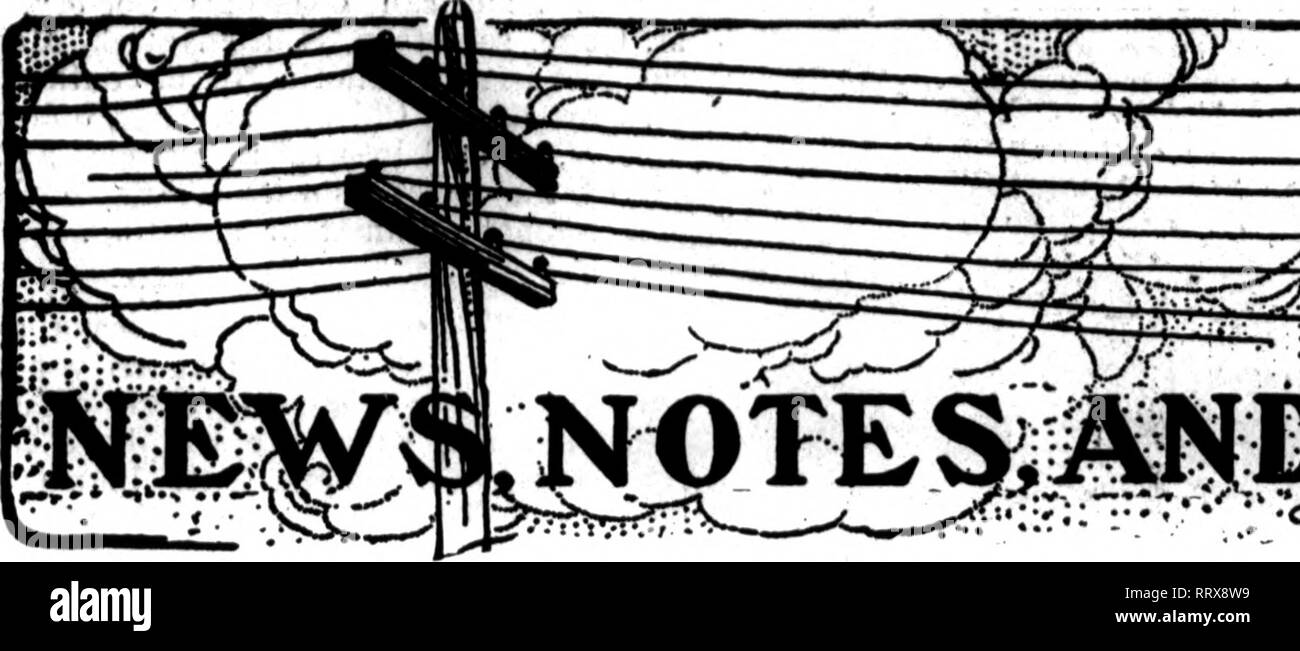 . Fioristi' review [microformati]. Floricoltura. Gennaio 16, 1913. I fioristi^ Rassegna 21 =3. VMMiS. Si prega di notare che queste immagini vengono estratte dalla pagina sottoposta a scansione di immagini che possono essere state migliorate digitalmente per la leggibilità - Colorazione e aspetto di queste illustrazioni potrebbero non perfettamente assomigliano al lavoro originale. Chicago : fioristi' Pub. Co Foto Stock