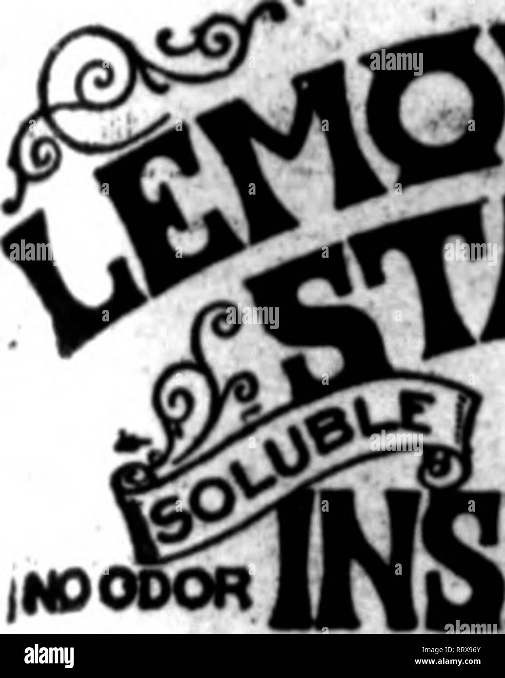 . Fioristi' review [microformati]. Floricoltura. .)J^,"uif jiuiHii^|;;^^K^^i"qra,ijjini .fi^ji^^Tij^R^i^piillii.jilll.Ho Ji?• i.liiil.J.u ho SCJPTKUBEB 26, 1012. I fioristi' Riesaminare 77 Carta di tabacco H è la ii PIÙ FORTE, miglior pranzo, semplice applicato ^fogli $ 0.75 141slieets 3.50 28ftsfieets 6.50 172Ssheeto 35.10 NICO-fumo " liquido su 4Q^ nicotina ;,-*ir da lontano la .^ Furnisher più nicotina per il MFD IMoneyl. dal tabacco Kentucky PRODUQ CO., Louisville, KY. Più conveniente. Basta osservare i prezzi! La pinta $1.50 MOaUon 5.50 (^su 10.50 SGalloDS ...47.25 Mention-The Rt1w irb"n 709 atto di citazione*. "Io^* NOPOi Foto Stock