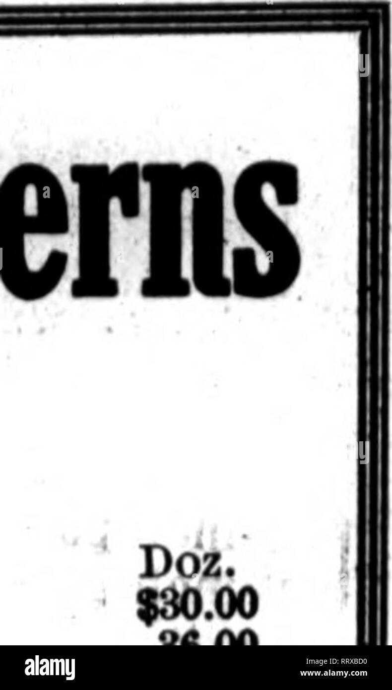 . Fioristi' review [microformati]. Floricoltura. r'^i^f!(^^ir'yfi'iv^r;-T^^f^^x '^'^P^^ ^^^^U^Vr^ Sbptehbbr 19, 1912. I fioristi' Riesaminare 71 Giuseppe Heacock Società di palme e felci HOME QROWN. Kentla BalmorMuia Pot in foglie. "Alta 2"a-pollice - 4 8 a 10 3-incli 6 12 4-lnch 6 .... 16 6 pollici da 6 a 7 v 18 6-lnch da 6 a 7 24 6-lnch da 6 a 7 26 6 pollici da 6 a 7 28 a 80 vasca cedro foglie in. alta 7 pollici da 6 a 7 84 86 9-lnch da 6 a 7 40 46 9-lnch da 6 a 7 da 42 a 48 9 pollici da 6 a 7 da 48 a 54 9 pollici da 6 a 7 di 5 ft. 9 pollici da 6 a 7 di 6 ft. Clbotluin Sohledel vasca di cedro di diffusione 7 pollici da 2 a 2I3 piedi 9 pollici a 4 piedi 9 pollici 5 Foto Stock
