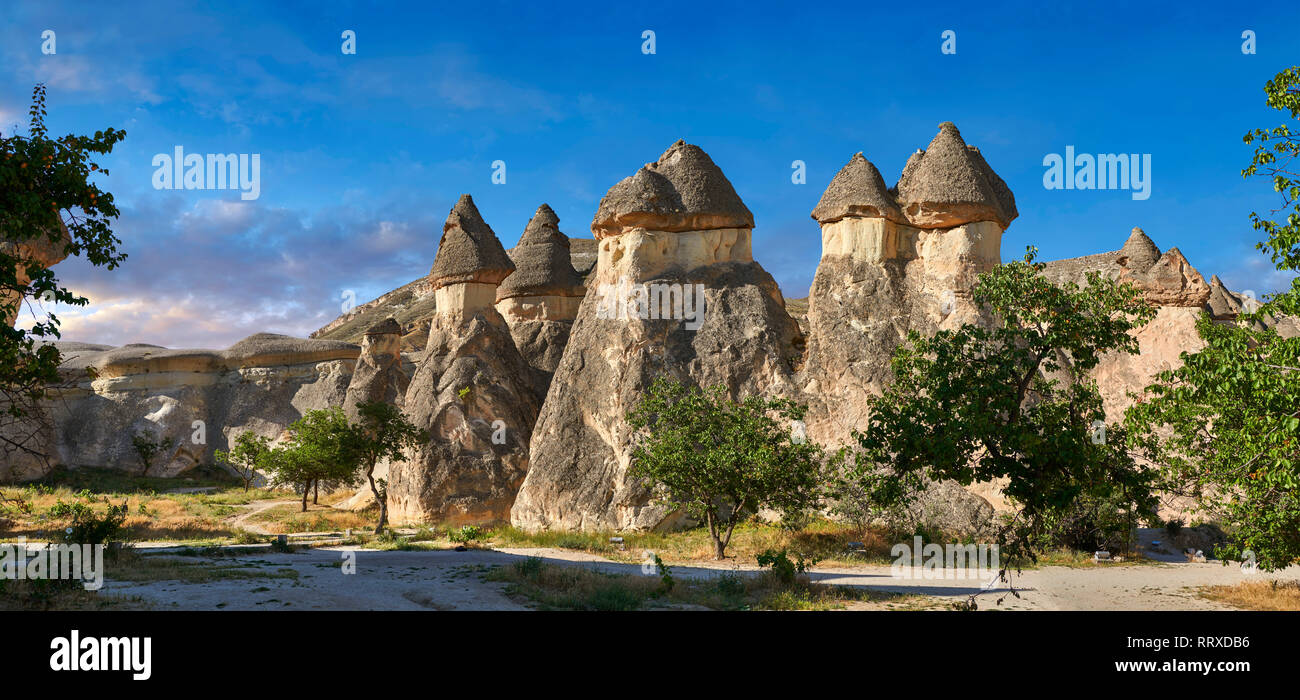 Foto e immagini della fata camino formazioni rocciose e pilastri di roccia di "Pasaba Valle" nei pressi di Goreme, Cappadocia, Nevsehir, Turchia Foto Stock