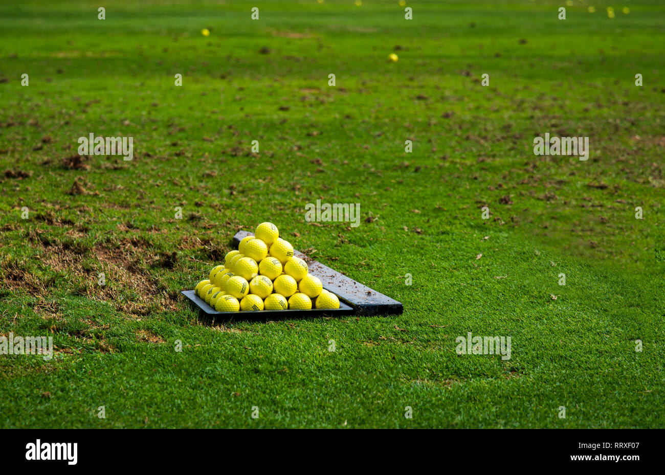 Sfere sul campo da golf ordinati per scatti di pratica Foto Stock
