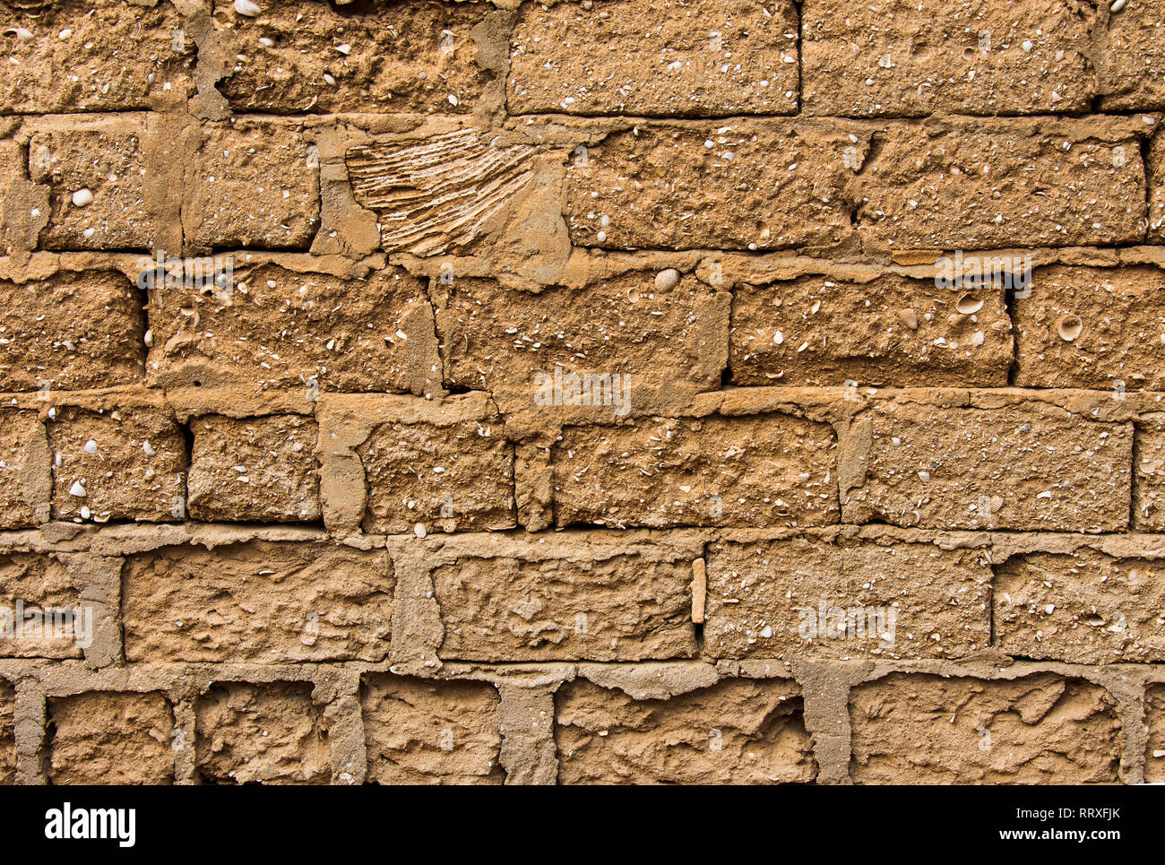 Vintage arabo muro di fango nel deserto realizzato con spiaggia di sassi e pietre di corallo Foto Stock