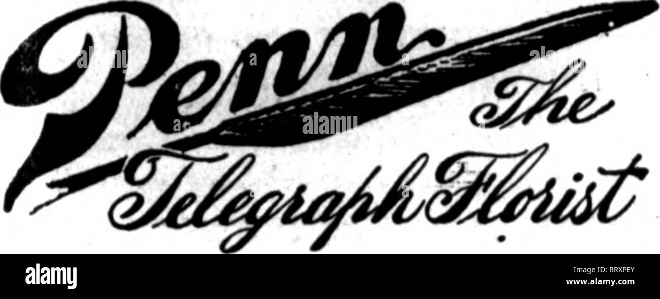 . Fioristi' review [microformati]. Floricoltura. TelephrmBU 40S6&GT;4086 38tli Street, gli ordini consegnati su tutte le navi oceaniche o telegraphed ai nostri corrispondenti in Europa e le colonie britanniche. Cavo Dardsflor, Western Union Stati fioristi' Telegraph consegna. Kstabllsbed 1874 BOSTON, mass. **Penn4 il telegrafo fioraio' MEMBRO DELL' Florlnts Telecrraph consegna 87-48 Atisoclation BROMFIKLD STREET Yonr orden di Atlantic City, N. J. sarà riempita accuratamente da. Si prega di notare che queste immagini vengono estratte dalla pagina sottoposta a scansione di immagini che possono essere state migliorate digitalmente per la leggibilità - c Foto Stock