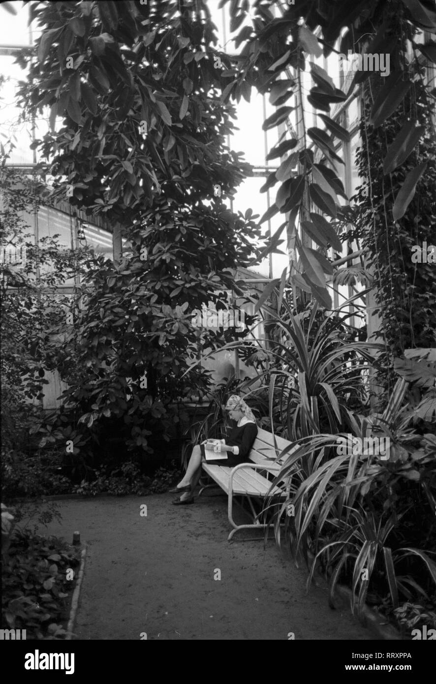 Polonia - Polen ca. 1950, Palmengarten a Posen, Frau auf einer Bank. Donna leggendo una rivista su un banco in un giardino botanico a Poznan, Polonia 1950. Foto Stock