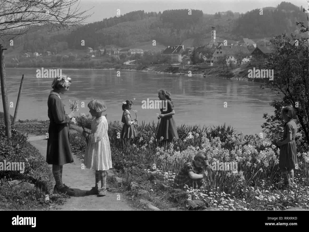 Germania - Deutschland ca. 1950er, Neuhaus, Mädchen beim pflücken Blumen am Inn. Le ragazze a caccia di fiori sulla riva del fiume Inn, 1950s. Foto Stock