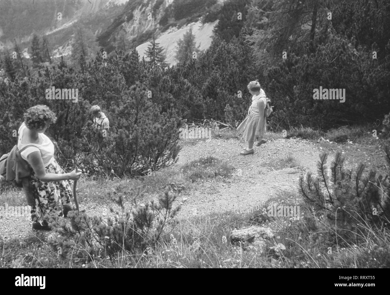 Austria - Salzburger Land ca. 1950, Wanderer in den Leoganger Steinbergen Foto Stock
