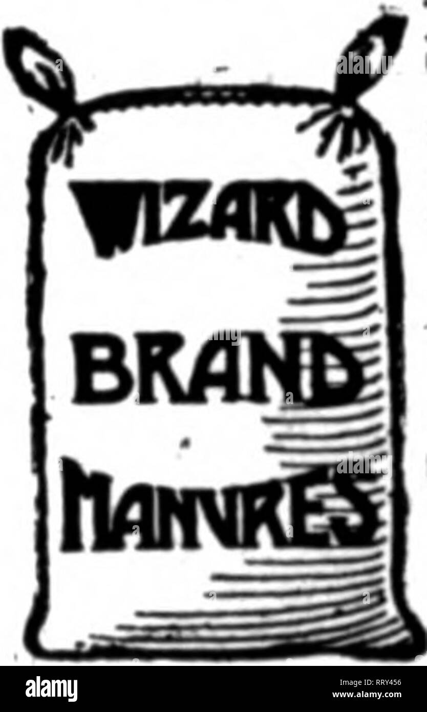 . Fioristi' review [microformati]. Floricoltura. Trenton, N. J.-^Wm. W. Blackman è erigere due serre, 28x75 e 28x110, a 842 Centre street. Il FertOizer che rende Yoar i profitti crescono i garofani e le rose, crisantemi, viole-il tuo profitsdepend dopo la stimolante extra puoi dare il tuo piantaggine orbeds pots. Capacità di fornire piante thriftier, meglio fiorisce con steli più rigida, rispetto al proprio concorrente significa successo, aumento del business, di dimensioni utili. Una migliore, weed- senza fertilizzante, sempre pronto, con- venient da gestire è Sbeep Testa della marca di polverizzato concime Sbeep insuperabile (o p Foto Stock