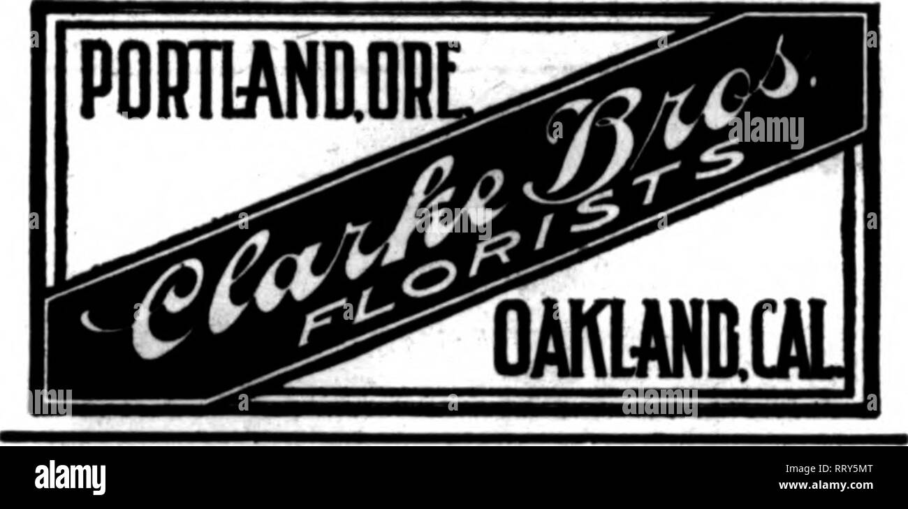 . Fioristi' review [microformati]. Floricoltura. ? ^.f" T ^ ''? R ?"'"rjwrrs'- : yTyr^-q^w^-pf-^immfvirrn^ff^ ••''?iAJif-^9.j^%-"*'r^- - T^" T*iy^T!"l" 38 il settimanale fioristi^ Recensione* jANUABt 18, 1912. Il leader del mercato al dettaglio fioristi il retail fioristi le cui card appaiono sulle pagine di trasportare questa testa, sono preparati per compilare gli ordini da altri fioristi per il recapito locale sulla base usuale. Se si desidera essere rappresentato sotto questa voce, ora è il momento di mettere il vostro ordine. N. E. Cor. 44Th Street e Madison Avenue, DARDS, Telephonea 4025-4086, 38th Street, New York Dardsflor cavo Foto Stock