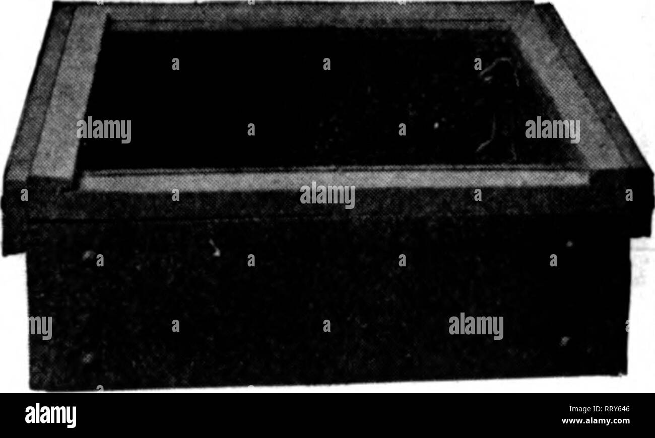 . Fioristi' review [microformati]. Floricoltura. Uno dei featiu^s di questa scanalatura è che esso può essere messo in ferro battuto, lunghezze qualsiasi (senza fori di trivellazione), stringendo la grondaia insieme e clip di avvitamento al tetto-bar per qualsiasi dimensione di vetro. Quanto sopra è solo uno dei tanti lat- est e aggiornati i materiali che abbiamo. Ottenere i nostri prezzi su Groenhouso Louisi- ana materiale di cipressi, lieatinSf von- tllatinKt boncli materiali, liotbad anta, ecc. 1396-1410 Metropolitan Ave. BROOKLYN, N. Y. menzionare il riesame quando scrivi. Sempre il mentioii Floiitts' Riesaminare wheo wridnfi; adrertisen.. Il melone i telai 5 Foto Stock