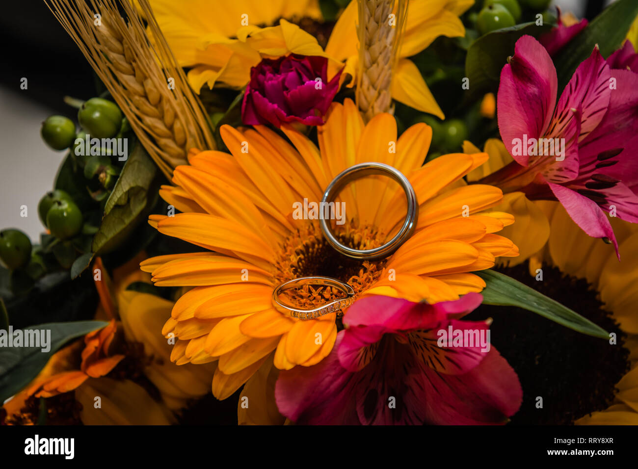 Gli anelli di nozze accoccolato in un bouquet di fiori colorati Foto Stock