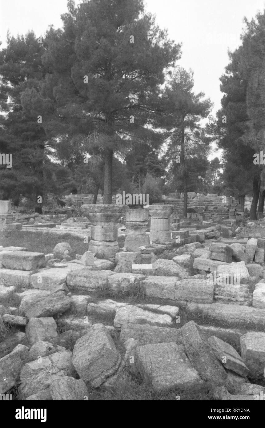 Griechenland, Grecia - Bäume wachsen über einer archäologischen Fundstätte in Griechenland, 1950er Jahre. Alberi che crescono su un sito archeologico in Grecia, 1950s. Foto Stock