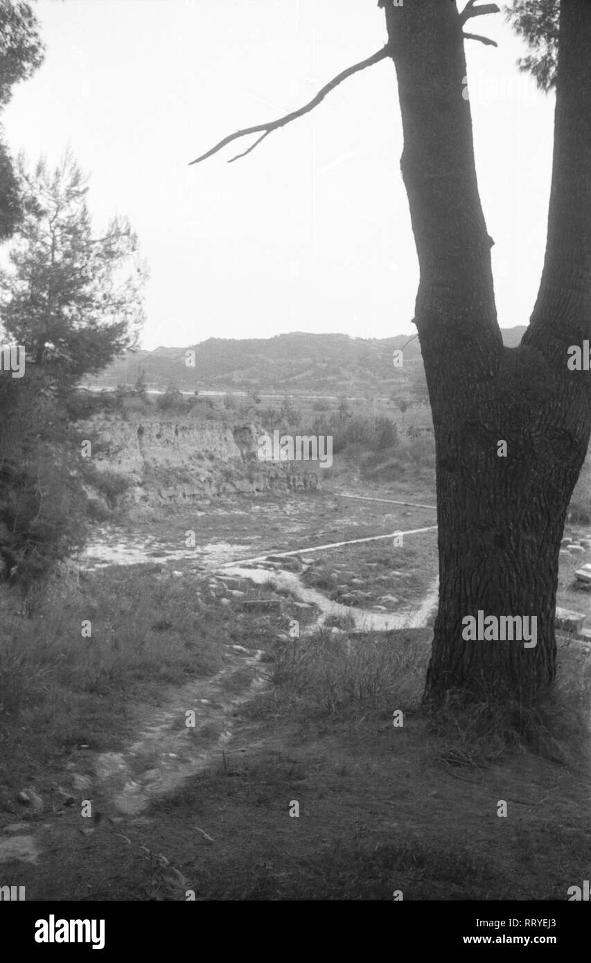 Griechenland, Grecia - Ein Baum in der Nähe einer archäologischen Ausgrabungsstelle, Griechenland, 1950er Jahre. Un albero vicino a un sito archeologico, Grecia, 1950s. Foto Stock