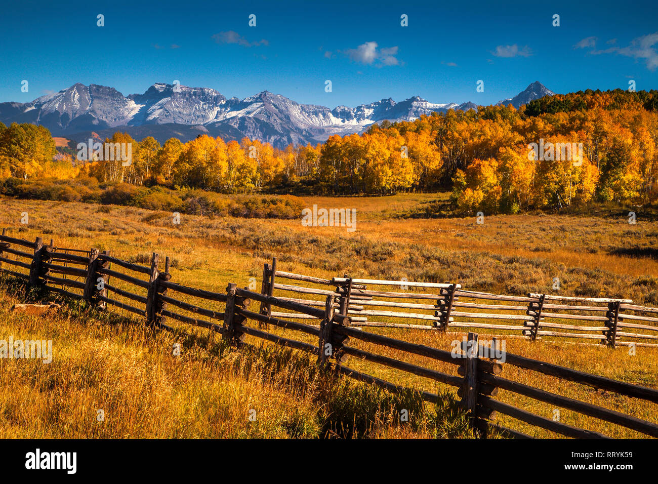 Campo di Colorado e San Juan Mountains in autunno Foto Stock