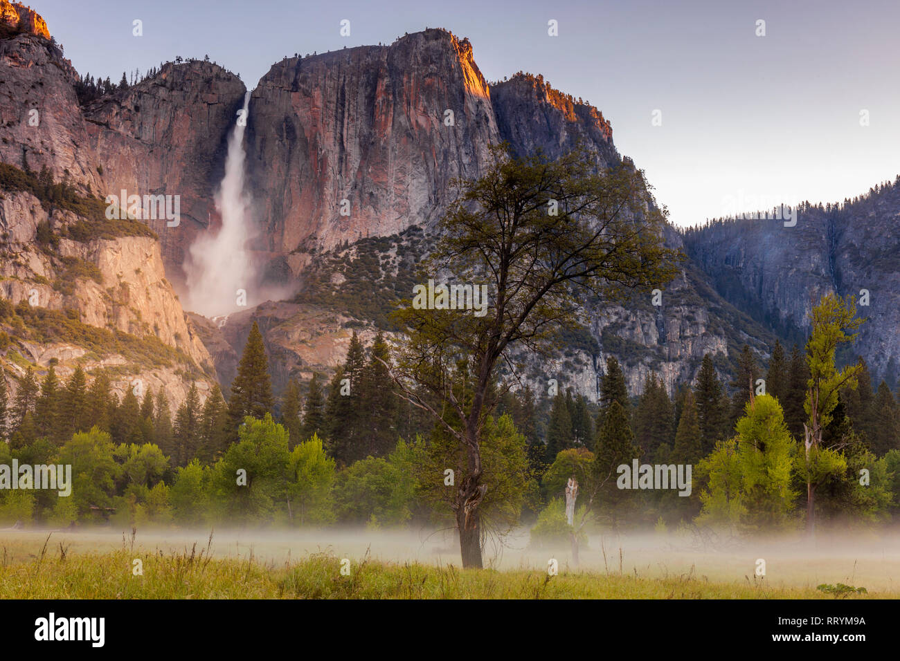 Superiore cascate Yosemite in California il Parco Nazionale di Yosemite Foto Stock
