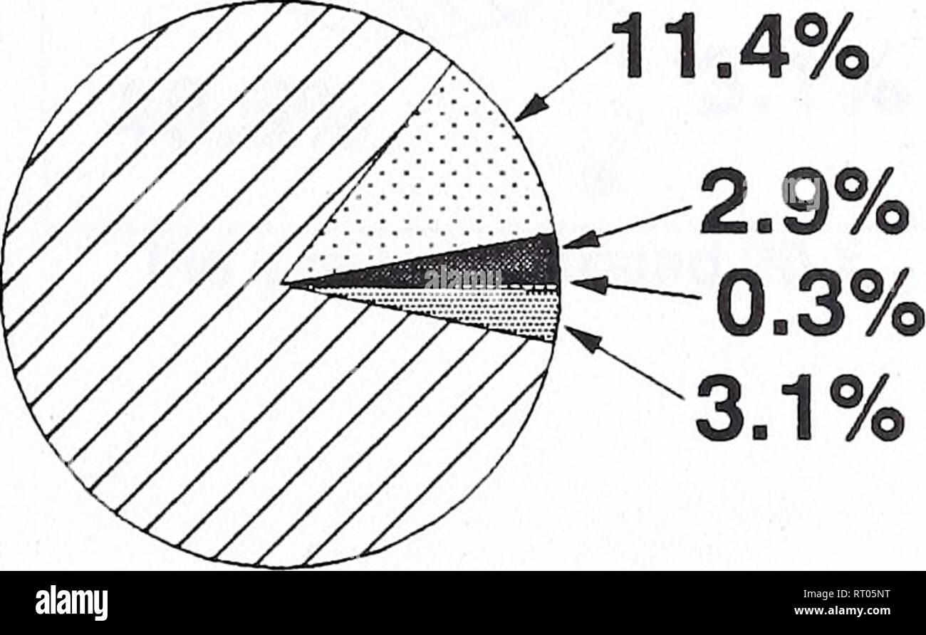 Bozeman datazione radiometrica