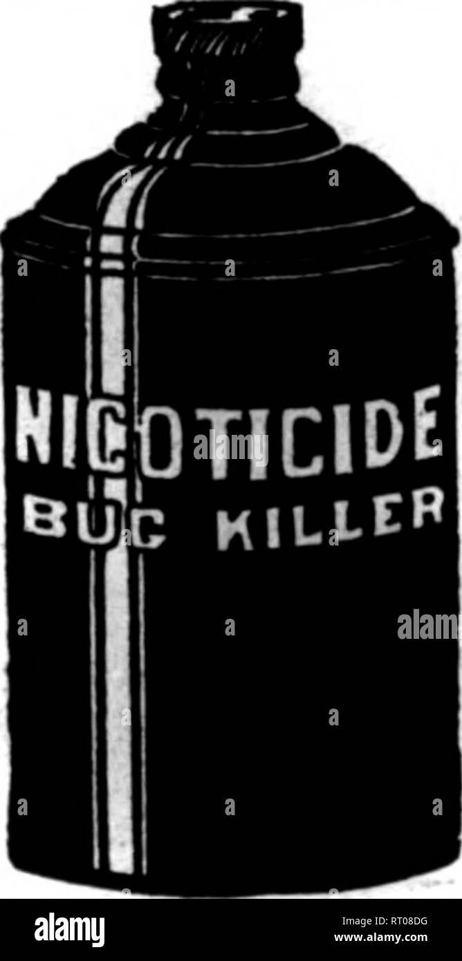 . Fioristi' review [microformati]. Floricoltura. :R. .,^11 ,^'-&GT;i.- 'r3?^^^:^'l^iVT^*"'"T7TJ 88 il settimanale fioristi^ Recensione* Dkcbmbbb 21, 1011. Carta di tabacco H è il più forte, miglior pranzo, semplice applicato 24 fogli $ 0,75 144 fogli 3.50 288 fogli 6.50 1728sheeta 35^0 NICO-fumi liquido " fornisce la maggior parte di nicotina per i soldi mi Mfd. dal tabacco Kentucky PRODUQ CO., Louisville, KY. Oltre 4/Gul mootine di gran lunga il più conveniente. Basta osservare i prezzi! La pinta $L50 &gt;4 gallone 5.50 Gallone 10.50 5Galloni 47.25 menzionare il riesame quando scrivi. PUMPINQ STANDARD MOTORI PER TUTTI I TIPI DI ACQUA SUPPL Foto Stock