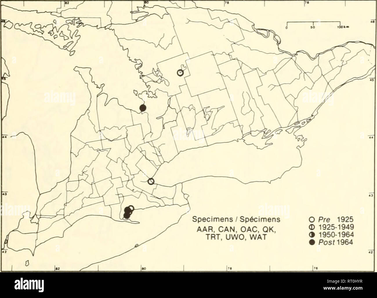 . Atlas delle rare piante vascolari di Ontario. Piante rare; Botanica. Atlas delle rare piante vascolari di Ontario/Atlas des plantes vasculaires rares de l'Ontario ERICACEAE Chimaphila maculata (L.) Pursh Spotted wintergreen Chimaphile maculé. Campioni / Spécimens AAR. Può, OAC, OK, TRT, UWO, WAT O Pre 1925 © 1925-1949 (" 1950-1964 • pos(1964 ^ r ci ^^PÏ^^^ ' / ''Ho^w5^^' 4° { ^mf- I°. ^^ dopo / D'après: Billington 1949. 1 Fernald 1950. Hodgdon &AMP; °°°'" N&GT;^ Eastman 1973, McVaugti 1952. ^V::Motilenbrocl&LT; &AMP; Ladd 1978 1 .ooi r- 1 habitat: secco, boschi di sabbia. Stato: Rare in Cana Foto Stock