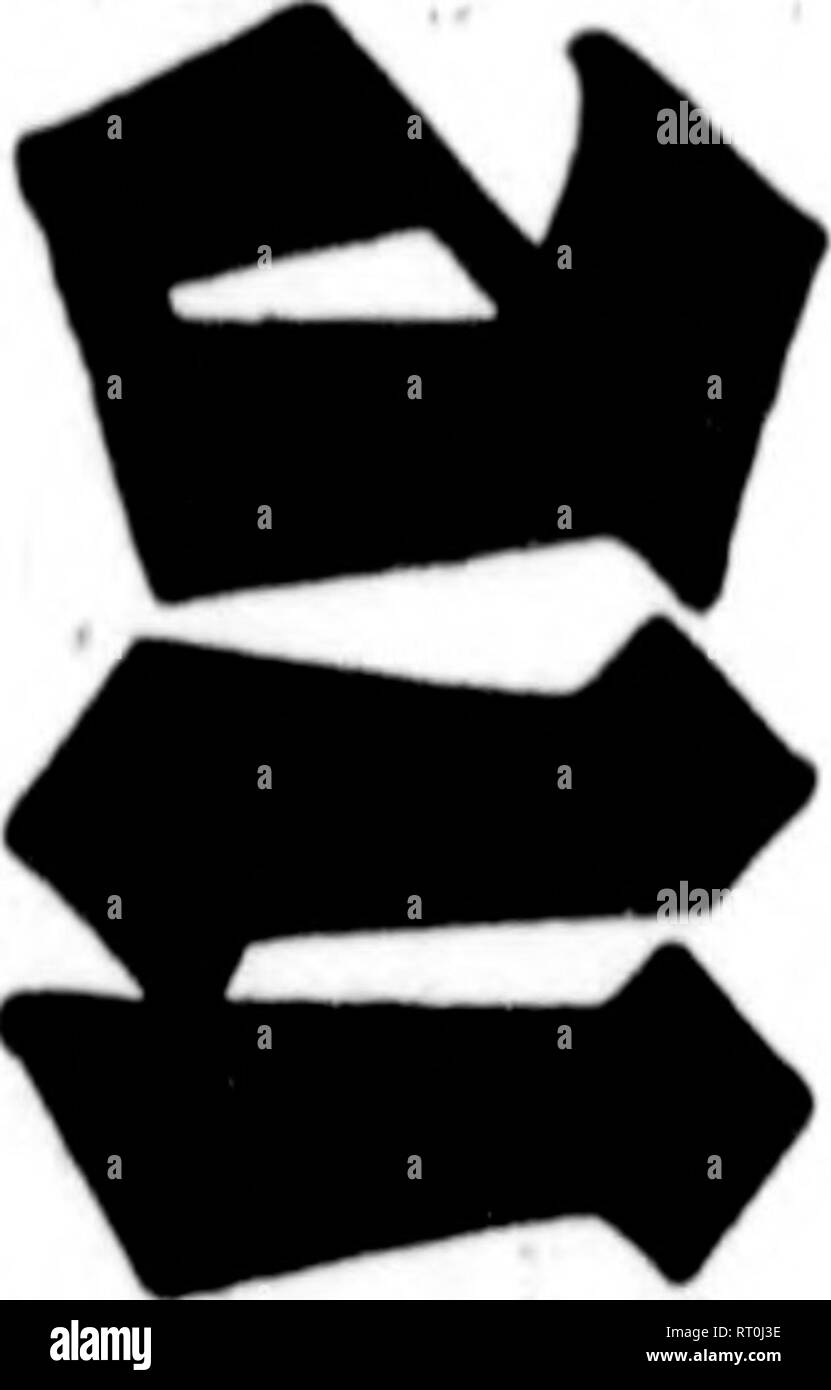. Arthur e Fritz Kahn 1889-1932 di raccolta. Kahn, Fritz 1888-1968; Kahn, Arthur David 1850-1928; Storia Naturale illustratori; storia naturale. /^ "^ Z 't:^^ ^ ^ tt'^ &gt;o: ^^vO 3-^ t. tjE^^CtErSEfc^E ^oEjS'^'ee^w CS ^ 2: fi 5 ^Ä. Si prega di notare che queste immagini vengono estratte dalla pagina sottoposta a scansione di immagini che possono essere state migliorate digitalmente per la leggibilità - Colorazione e aspetto di queste illustrazioni potrebbero non perfettamente assomigliano al lavoro originale. Kahn, Arthur e Fritz. Foto Stock