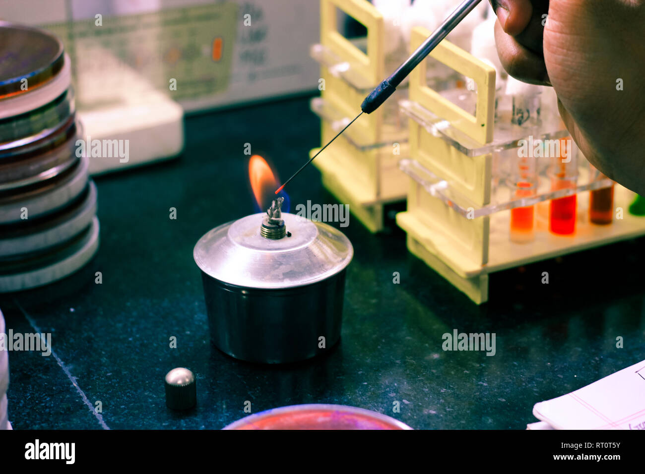 Inoculo microbiologico anello essendo riscaldato in un spirito di fiamma della lampada per disinfezione sterilizzazione in un laboratorio di microbiologia Foto Stock