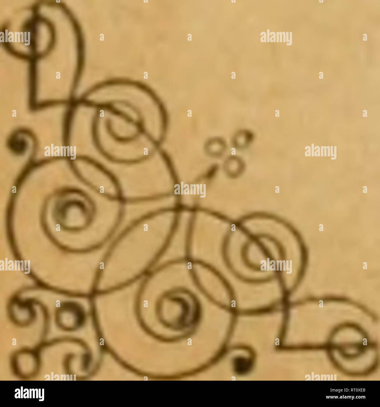 . Annales de la Société Entomologique de France. Insetti; Entomologia. ANNALES SOCIÉTÉ ENÏOMOLOGIQUE DE FRANCE FONDÉE LE 29 février 1832 RECONNUE COMME istituzione d'UTILITK PUBLIQUE PAR DÉCHET DU 23 AOUT 1878 Natura maxime miranda in minimis. VOLUME LXXIII - ANNÉli 1904 3'^ TRIMESTRE EB 1 19(7 PARIS AU SIÈOE 131^: LA SOCIKTIG HOTEL DES SOCIÉTÉS SAVANTES 28, rue Serpente, 28 Mars 1905 t^mmi^ Les Annales paraissent trimestriellement. Le Secrétaire-gérant : Pu. Gkolnllli;. '). Si prega di notare che queste immagini vengono estratte dalla pagina sottoposta a scansione di immagini che possono essere state migliorate digitalmente per readabil Foto Stock