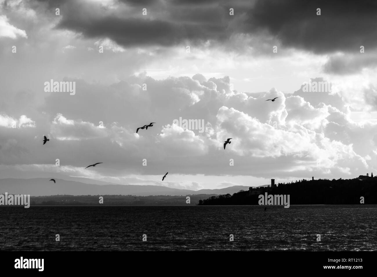Uccelli in volo sul lago Trasimeno Foto Stock