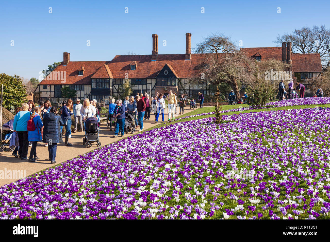RHS Wisley Gardens, Surrey, Inghilterra, Regno Unito. Il 27 febbraio 2019. Folle di visitatori accorrono per vedere il magnifico display di crochi in unseasonably caldo sole primaverile. Credito: Tony Watson/Alamy Live News Foto Stock