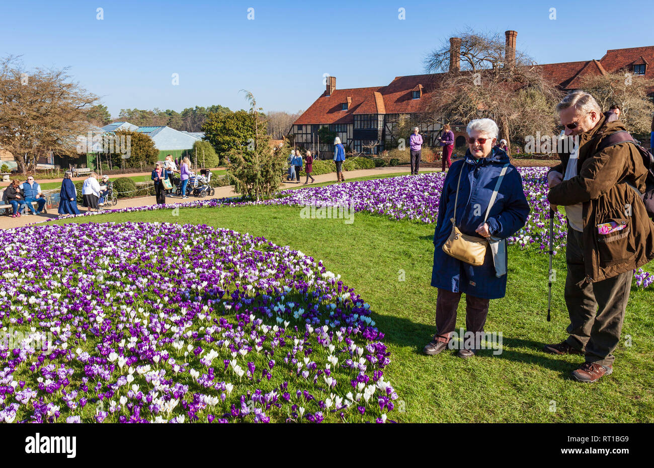 RHS Wisley Gardens, Surrey, Inghilterra, Regno Unito. Il 27 febbraio 2019. Folle di visitatori accorrono per vedere il magnifico display di crochi in unseasonably caldo sole primaverile. Credito: Tony Watson/Alamy Live News Foto Stock