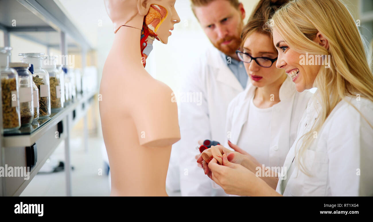 Gli studenti di medicina esame modello anatomico in aula Foto Stock