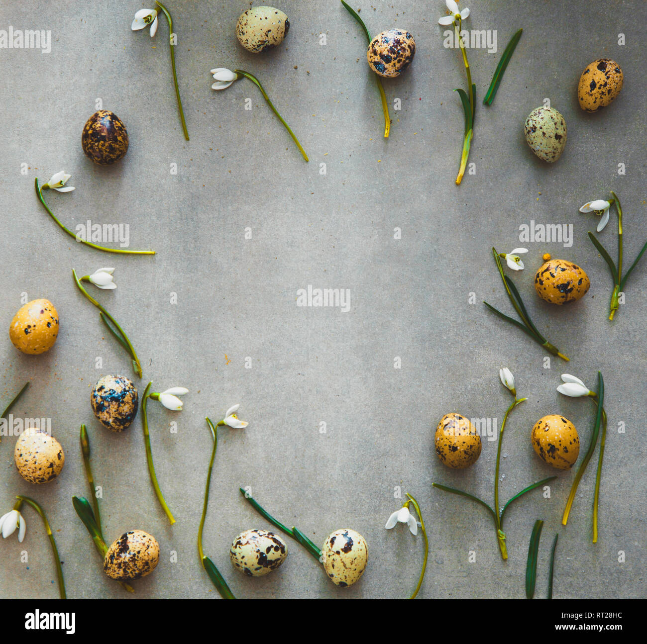 Sfondo di pasqua con uova di quaglia e snowdrop fiori. Molla dello sfondo. Overhead flatlay Pasqua Foto Stock