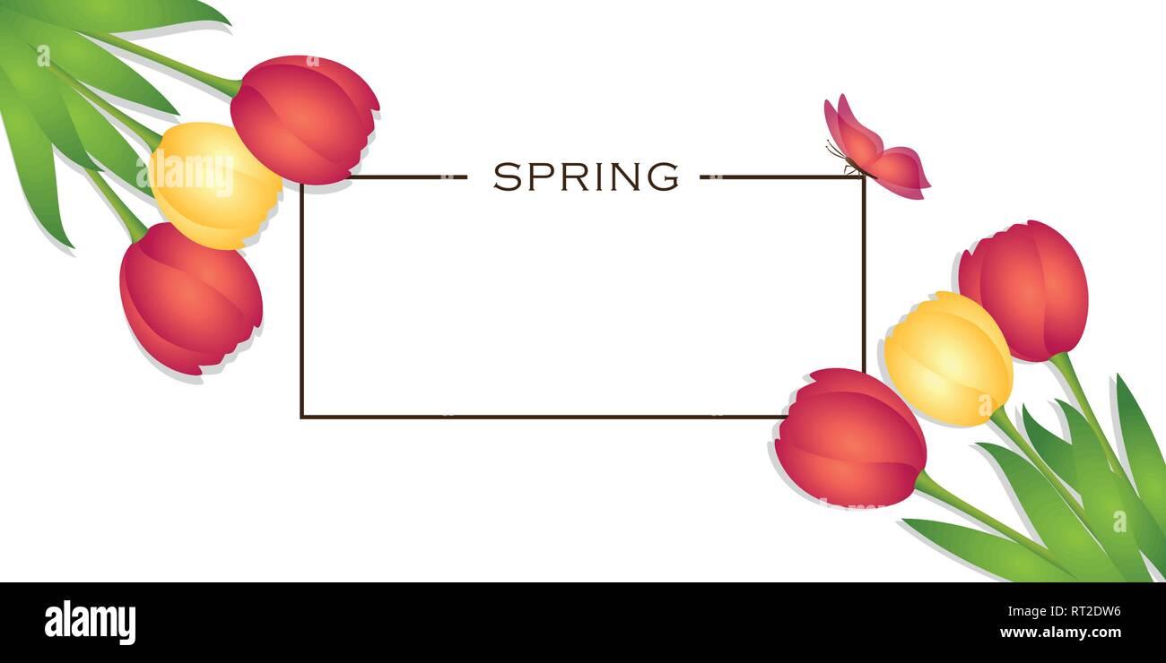 Il design a molla card con colorati tulipani e butterfly illustrazione vettoriale EPS10 Illustrazione Vettoriale