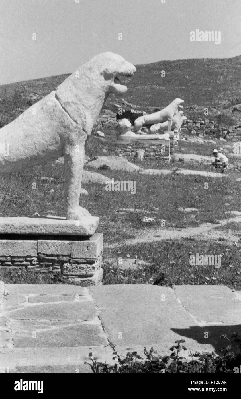 Griechenland, Grecia - Löwenstatuen der Löwenterrasse auf der Insel Delo, Griechenland, 1950er Jahre. Lion statue del leone terrazza presso l'isola di Delos, Grecia, 1950s. Foto Stock